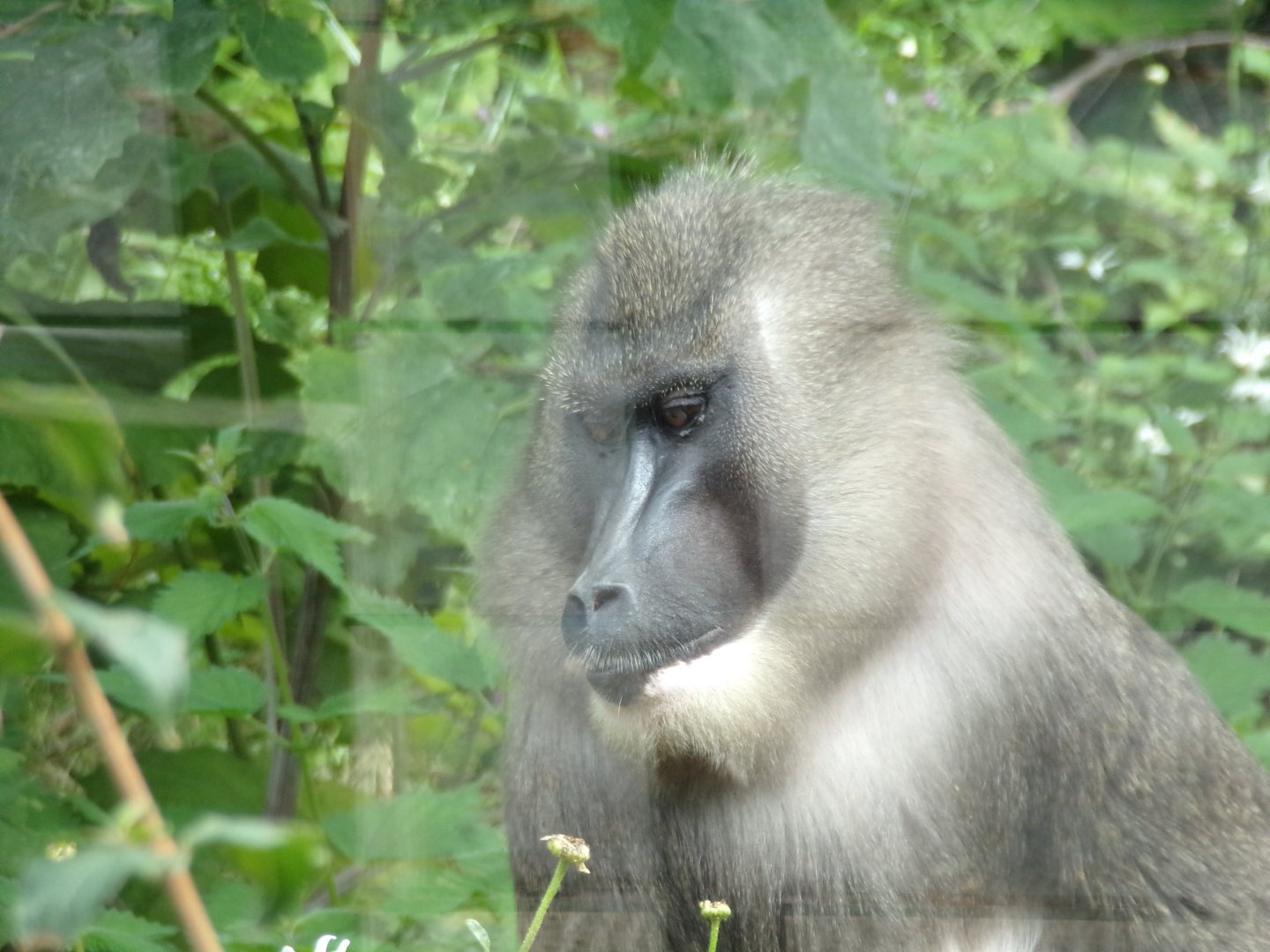 Drill portrait 17.7.23