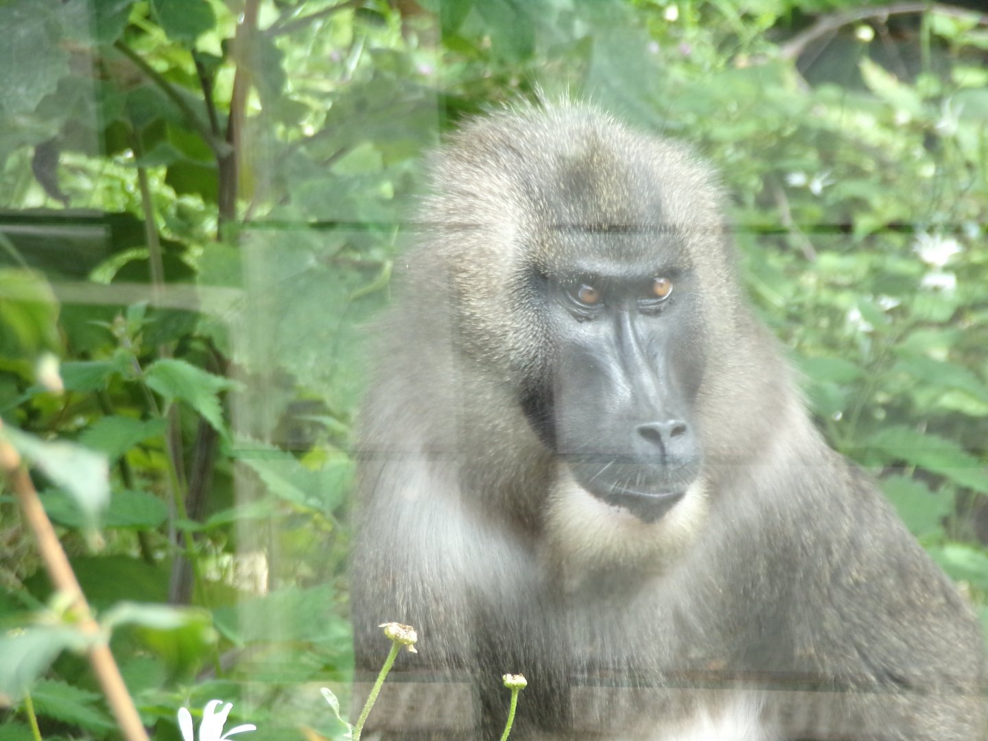 Drill portrait 17.7.23