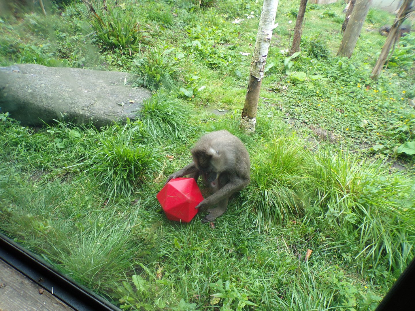 Drill with enrichment 16.7.24