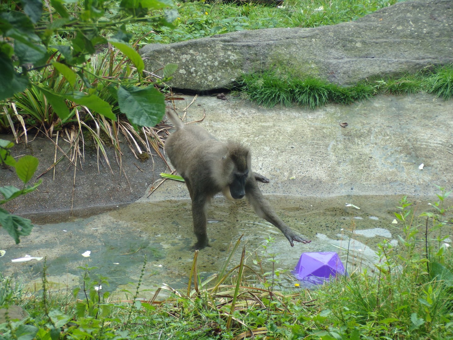 Drill with enrichment 16.7.24