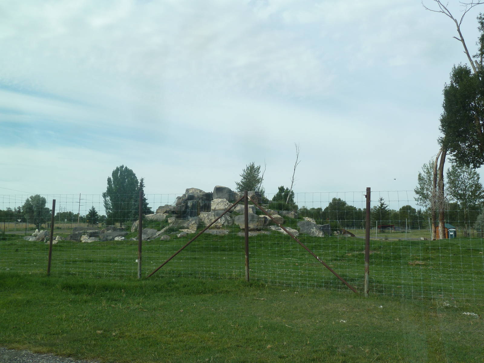 Drive-Through Area - Rocky Mountain Goat Exhibit