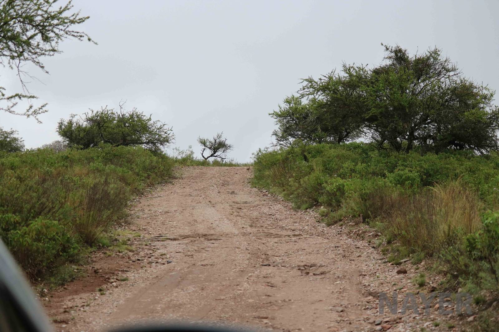 Drive-through area track - Tatu Carreta, April 2016.