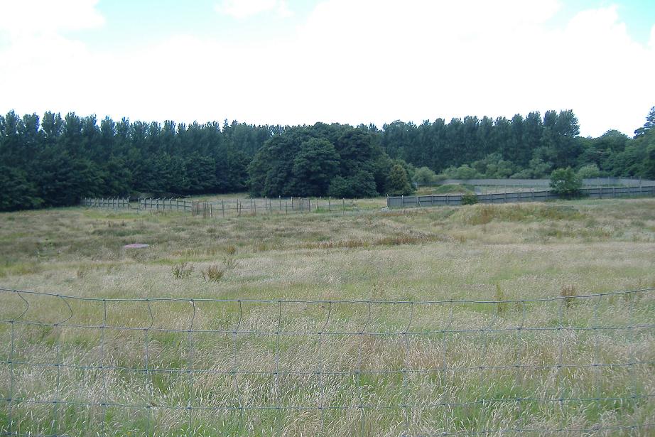 Drive-through reserves at Causeway Safari Park, May 2007,