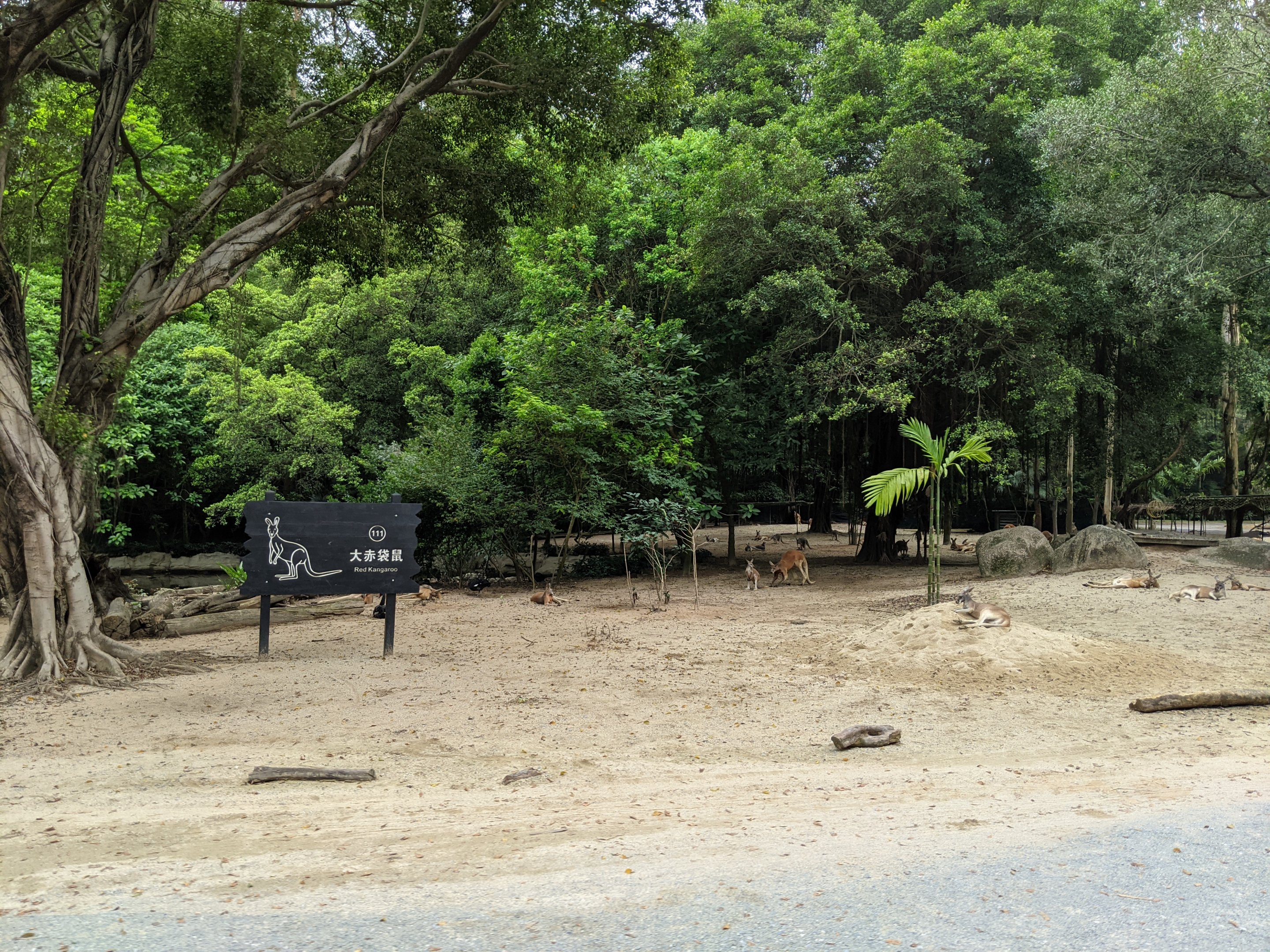Drive-through safari area
