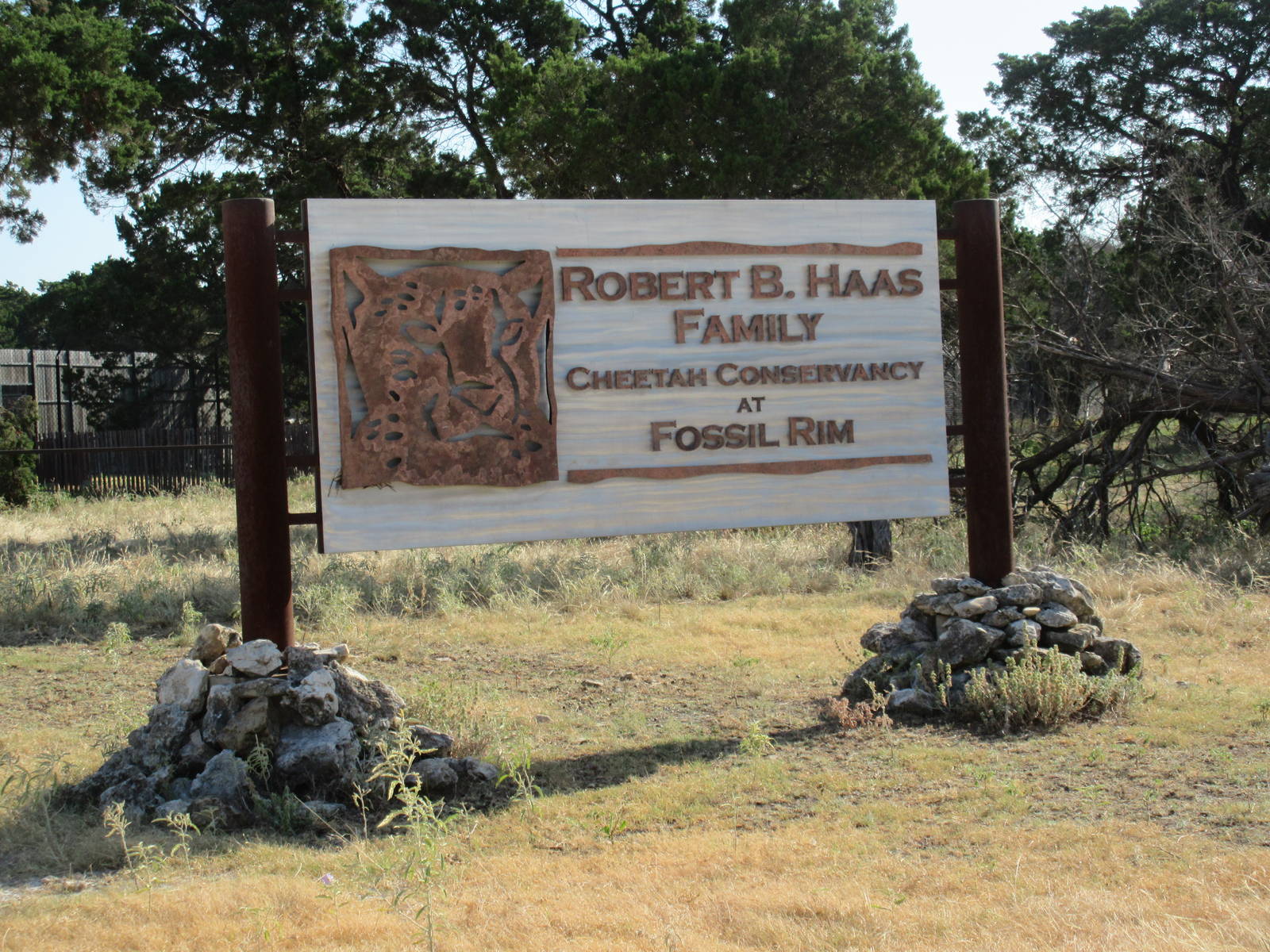 Drive-Through Safari - Cheetah Conservation Center