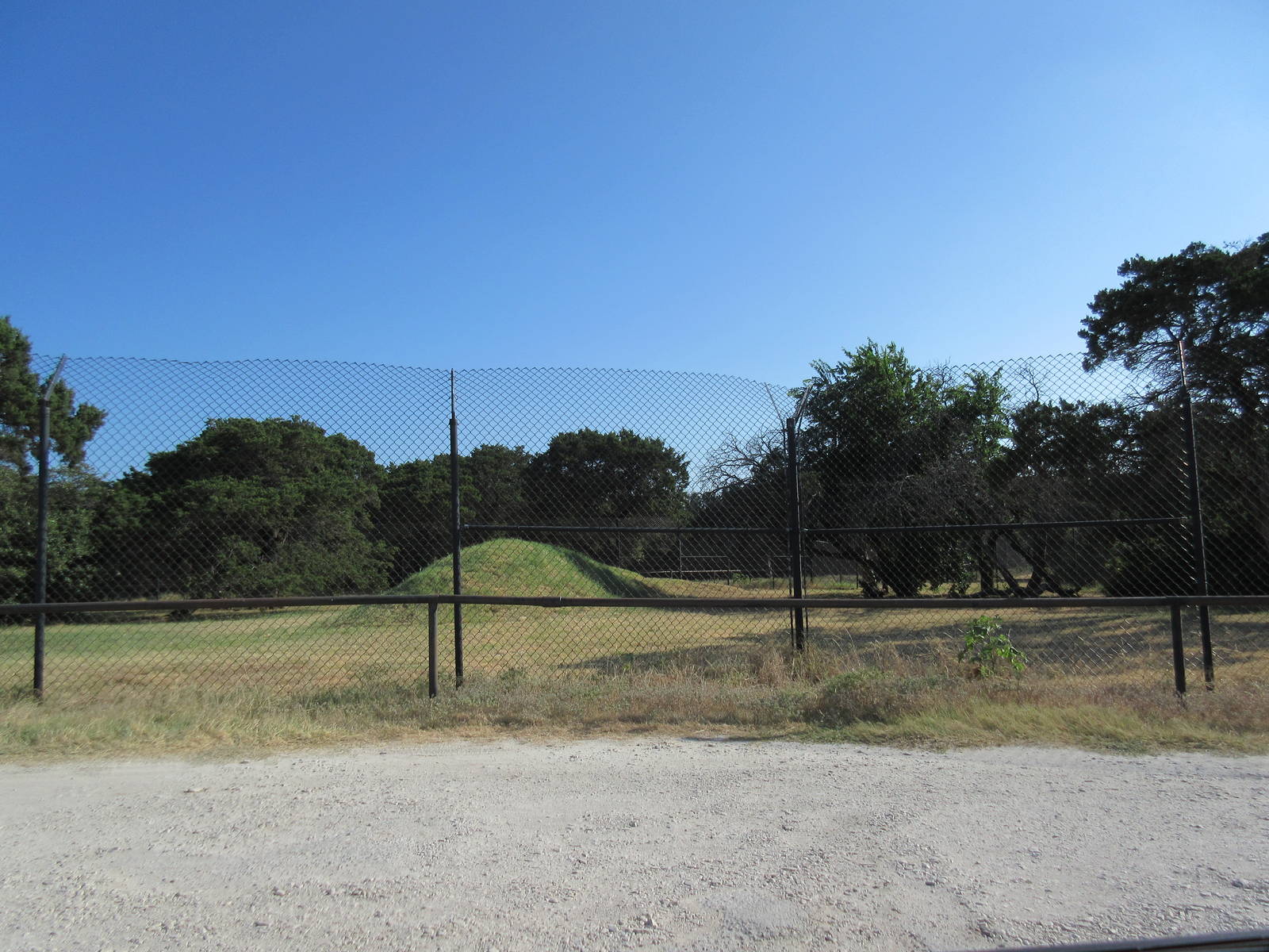 Drive-Through Safari - Cheetah Exhibit