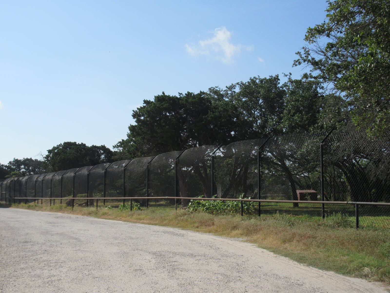 Drive-Through Safari - Cheetah Exhibit