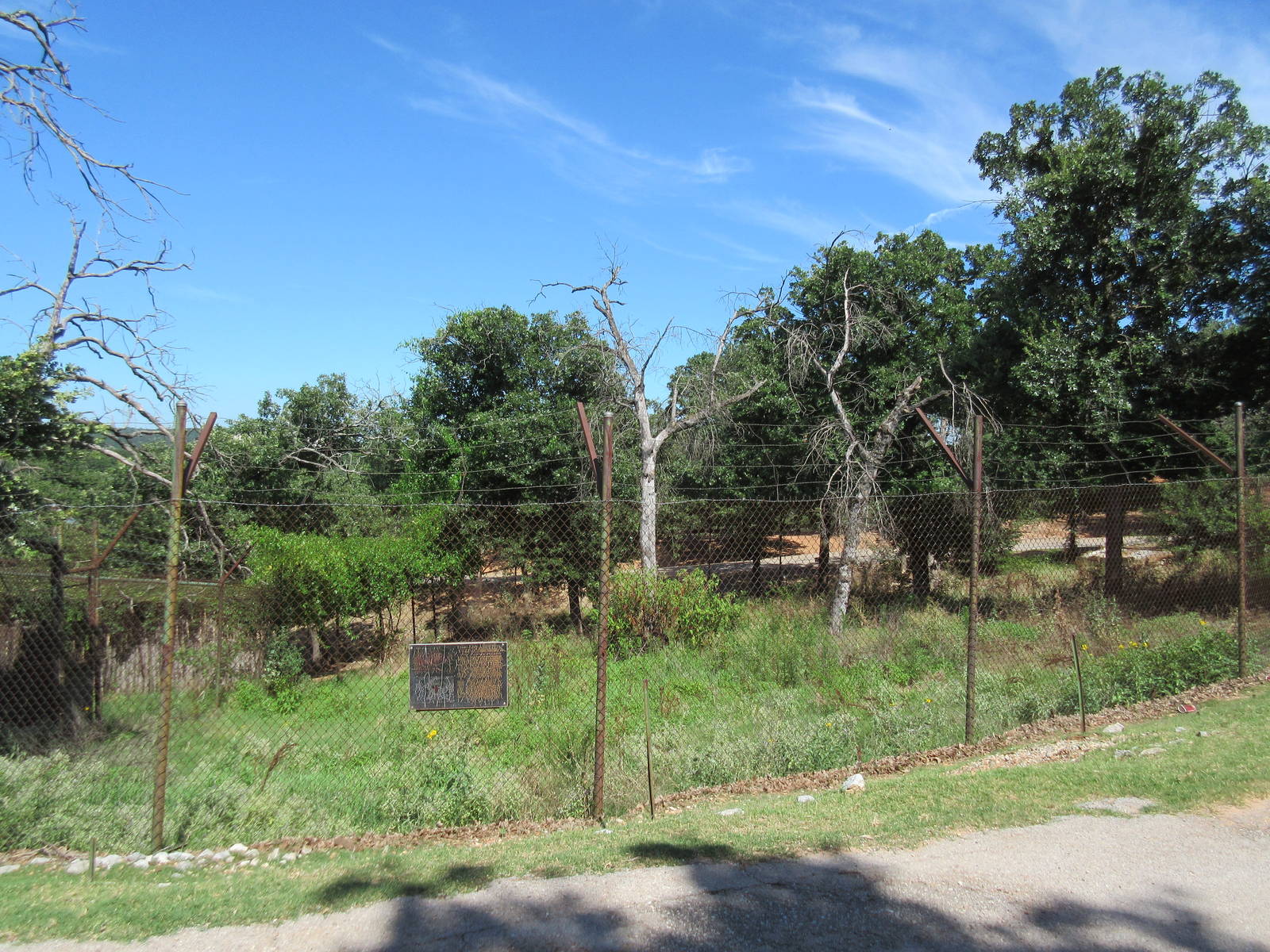 Drive-Through Safari - Empty Exhibit