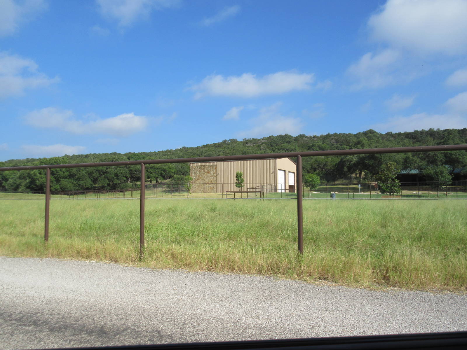 Drive-Through Safari - Giraffe Exhibit