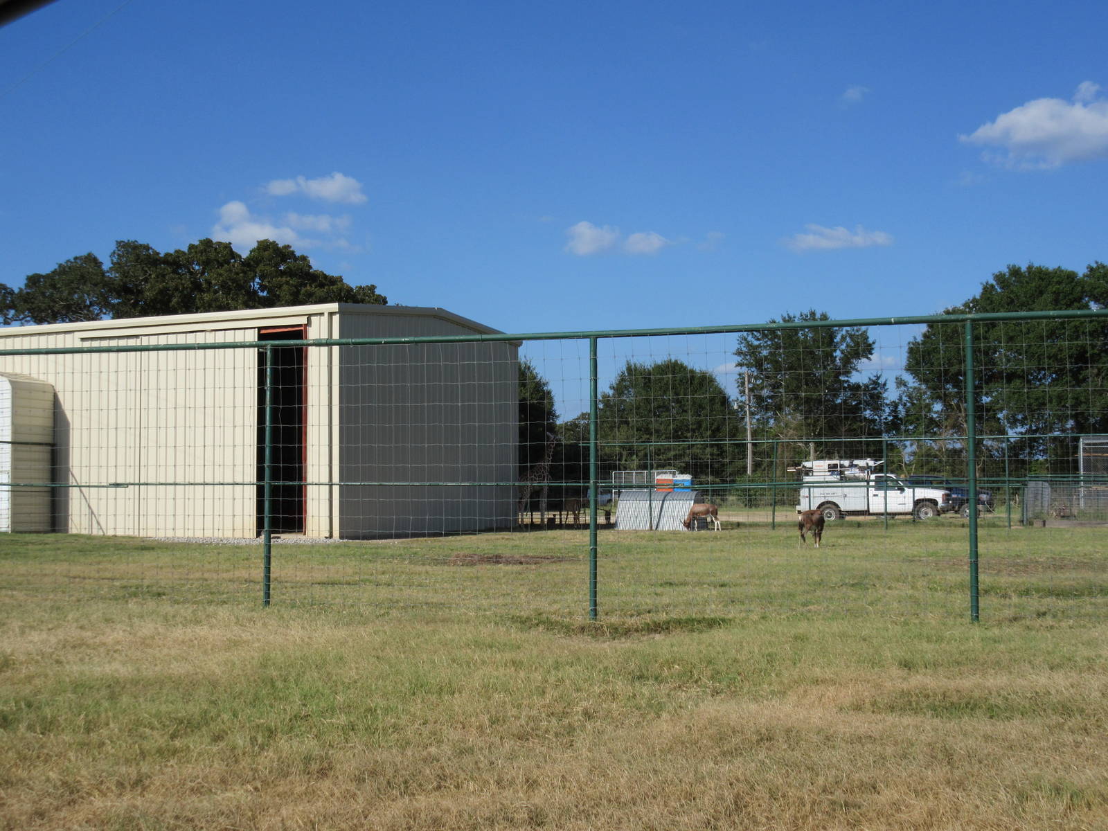Drive-Through Safari - Giraffe Yard