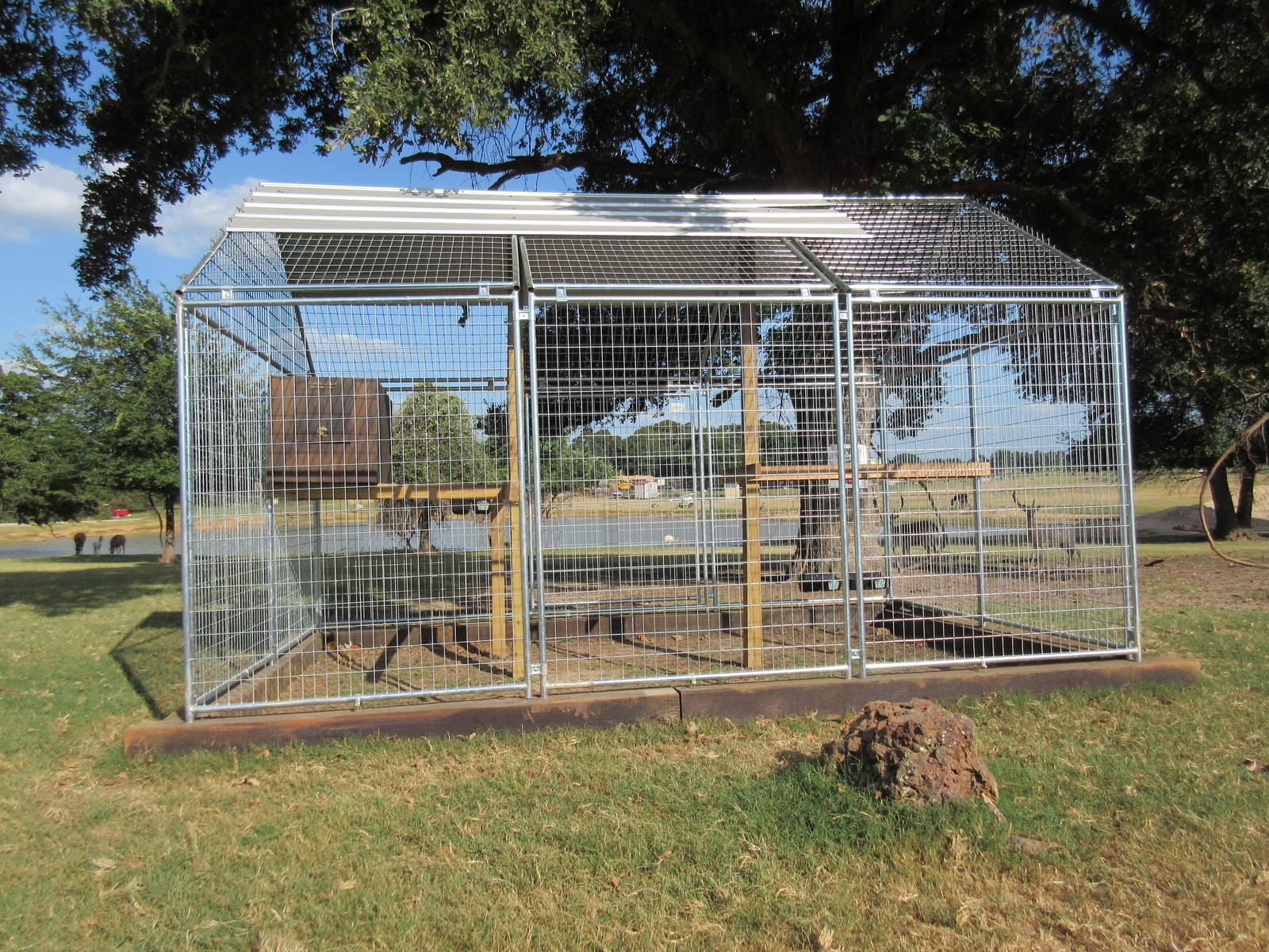 Drive-Through Safari - Random Empty Cage