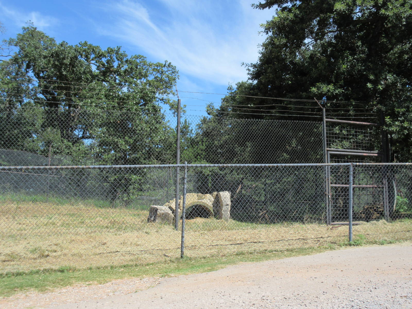 Drive-Through Safari - Striped Hyena Exhibit