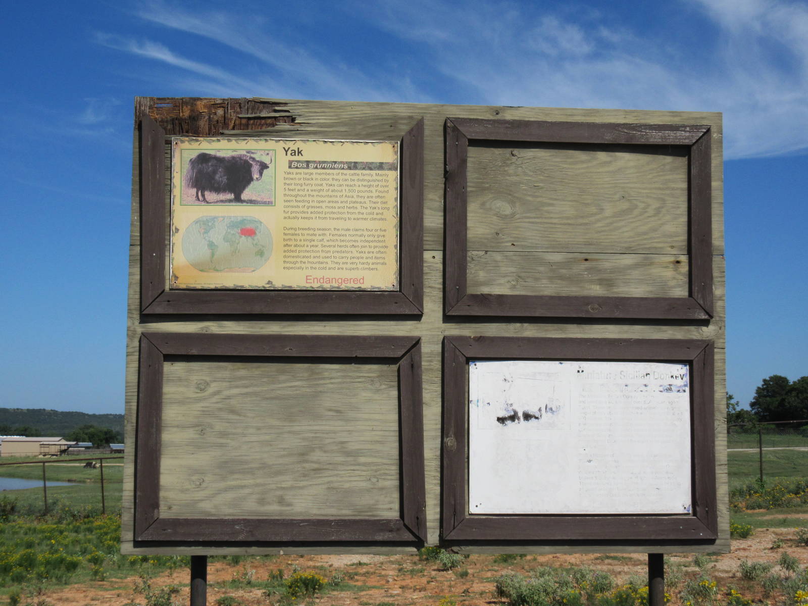 Drive-Through Safari - Typically Terrible Sign