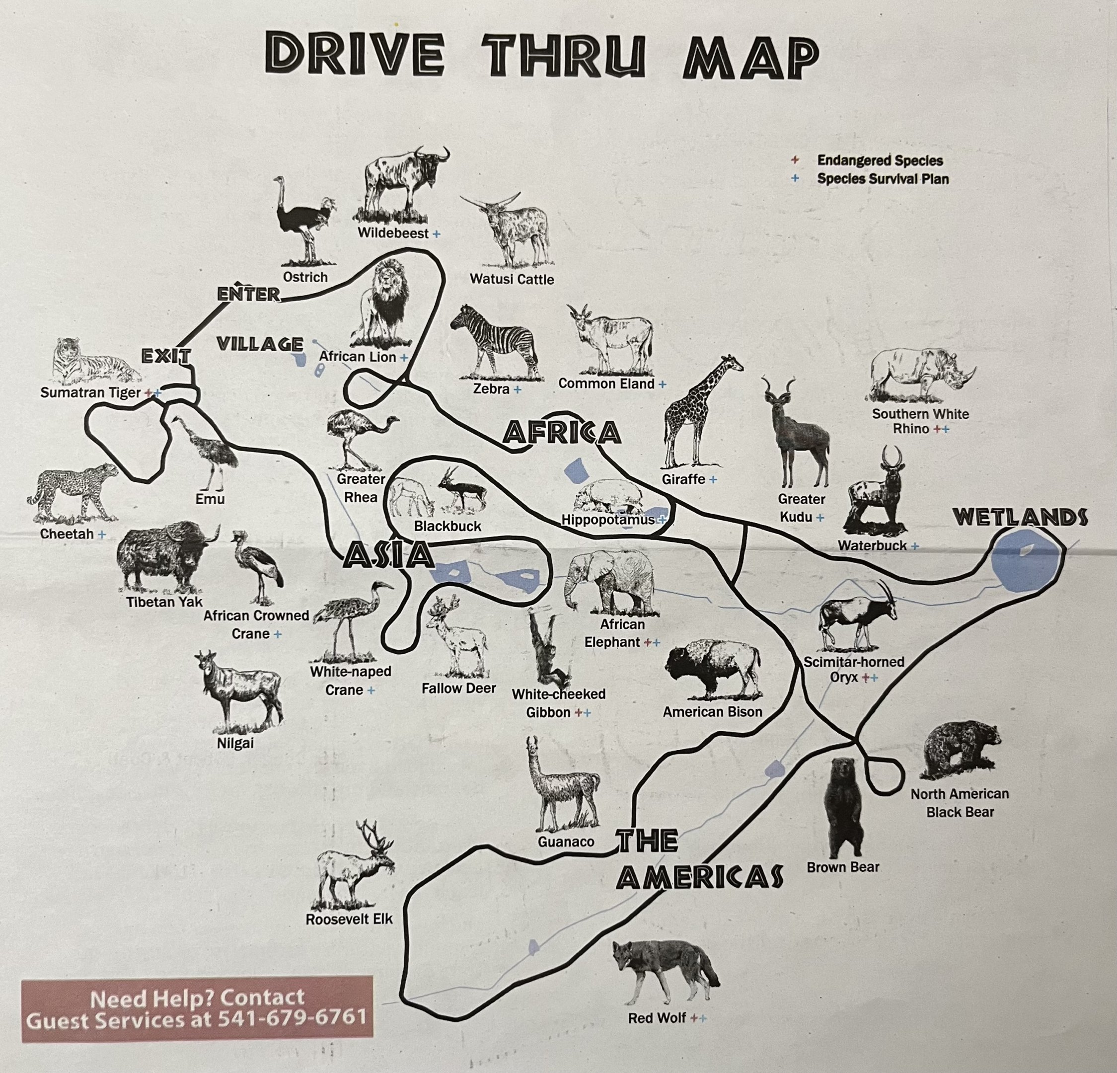 Drive Thru Map - 2024