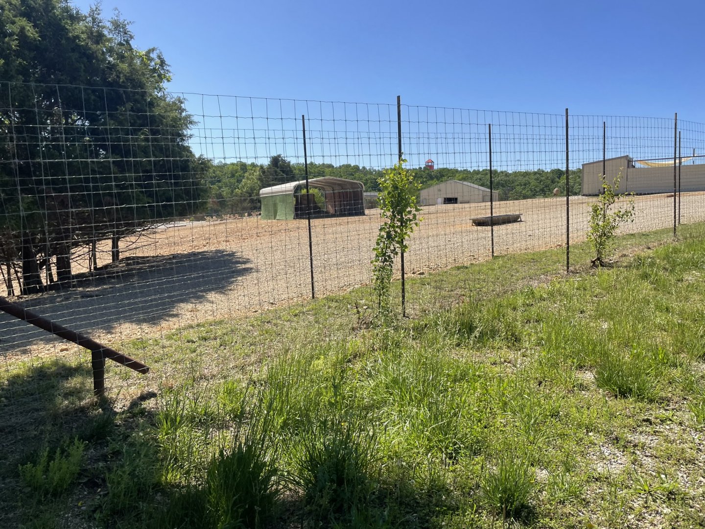 Drive-Thru Safari- May 2024