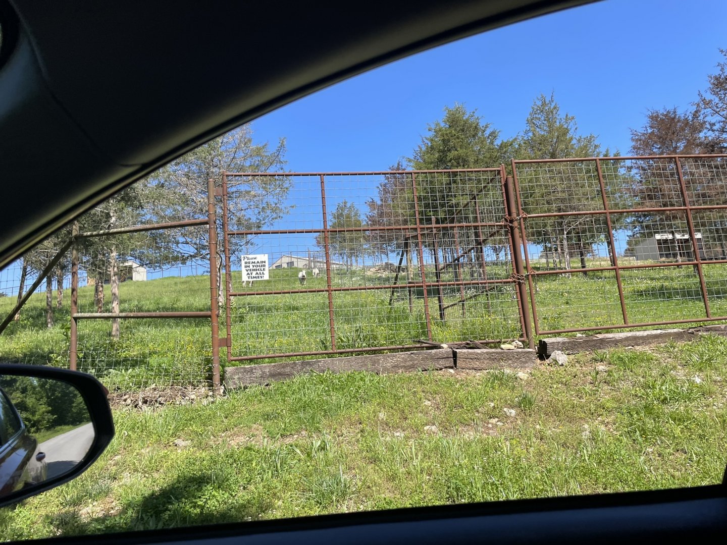 Drive-Thru Safari- May 2024