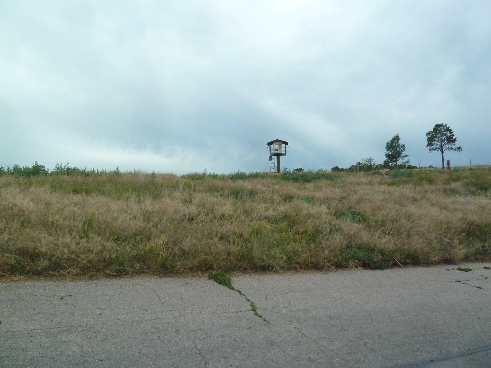 Drive-Thru Section - American Black Bear Area