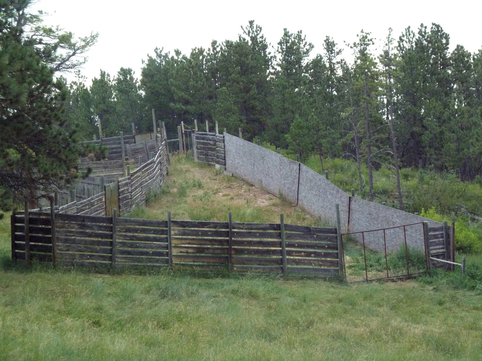 Drive-Thru Section - Hoofstock Side Yard