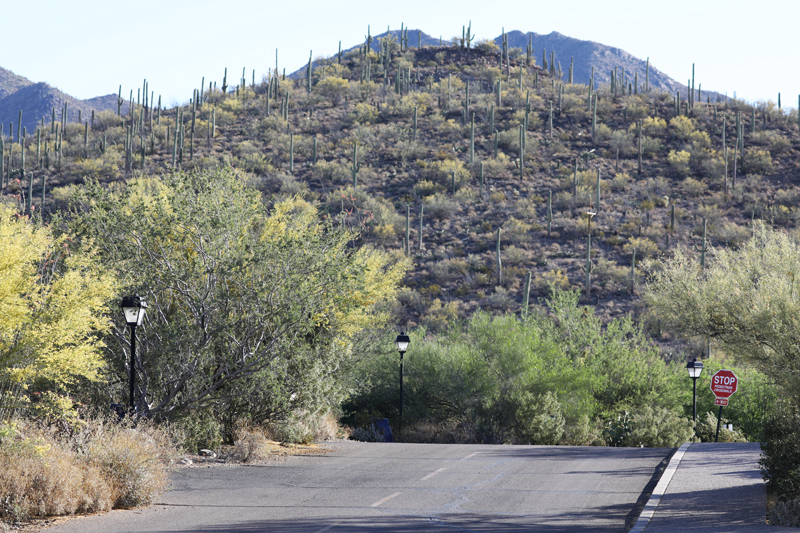 Driveway in parking lot.