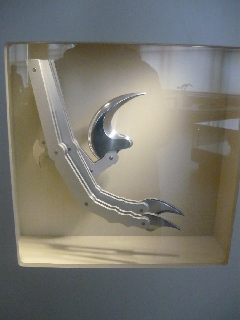 Dromaeosaurid foot model