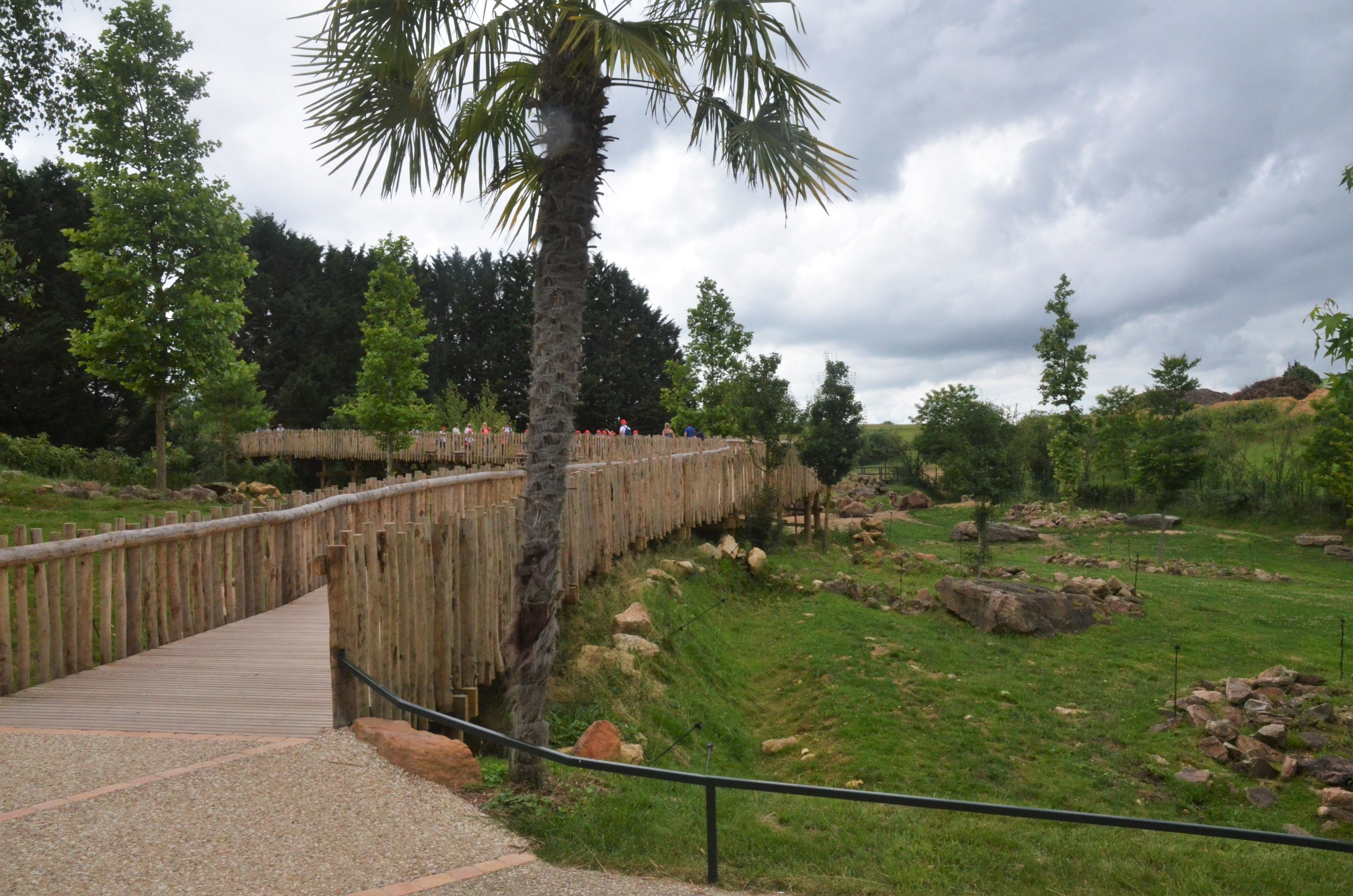 Dromedary and Bactrian Camel Enclosure at Beauval, 12/06/18