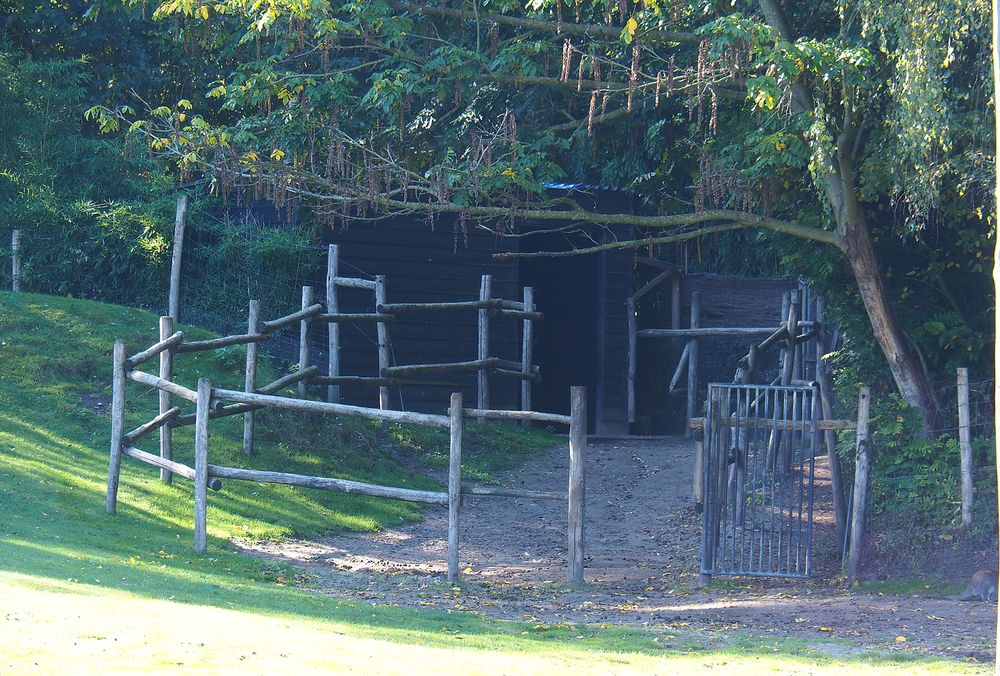 Dromedary camel barn and holding paddock, 2022-10-09