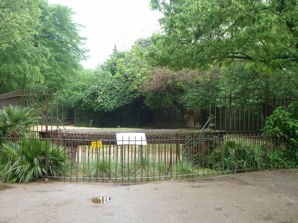 Dromedary camel enclosure