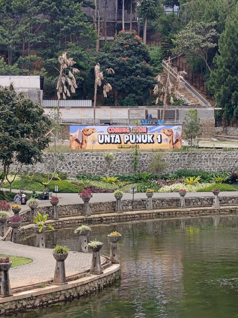 Dromedary camel exhibit construction site