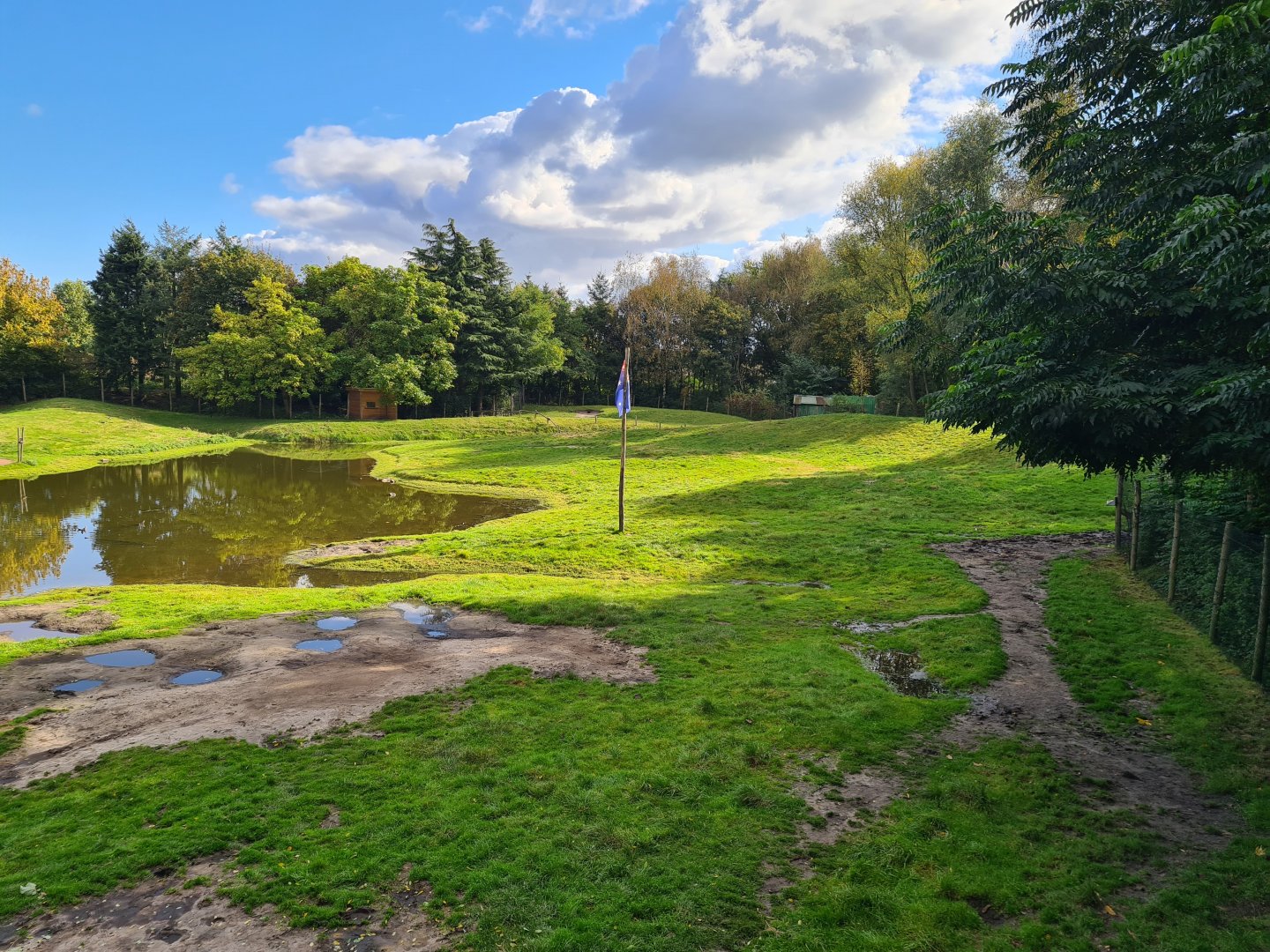 Dromedary camel habitat in Outback