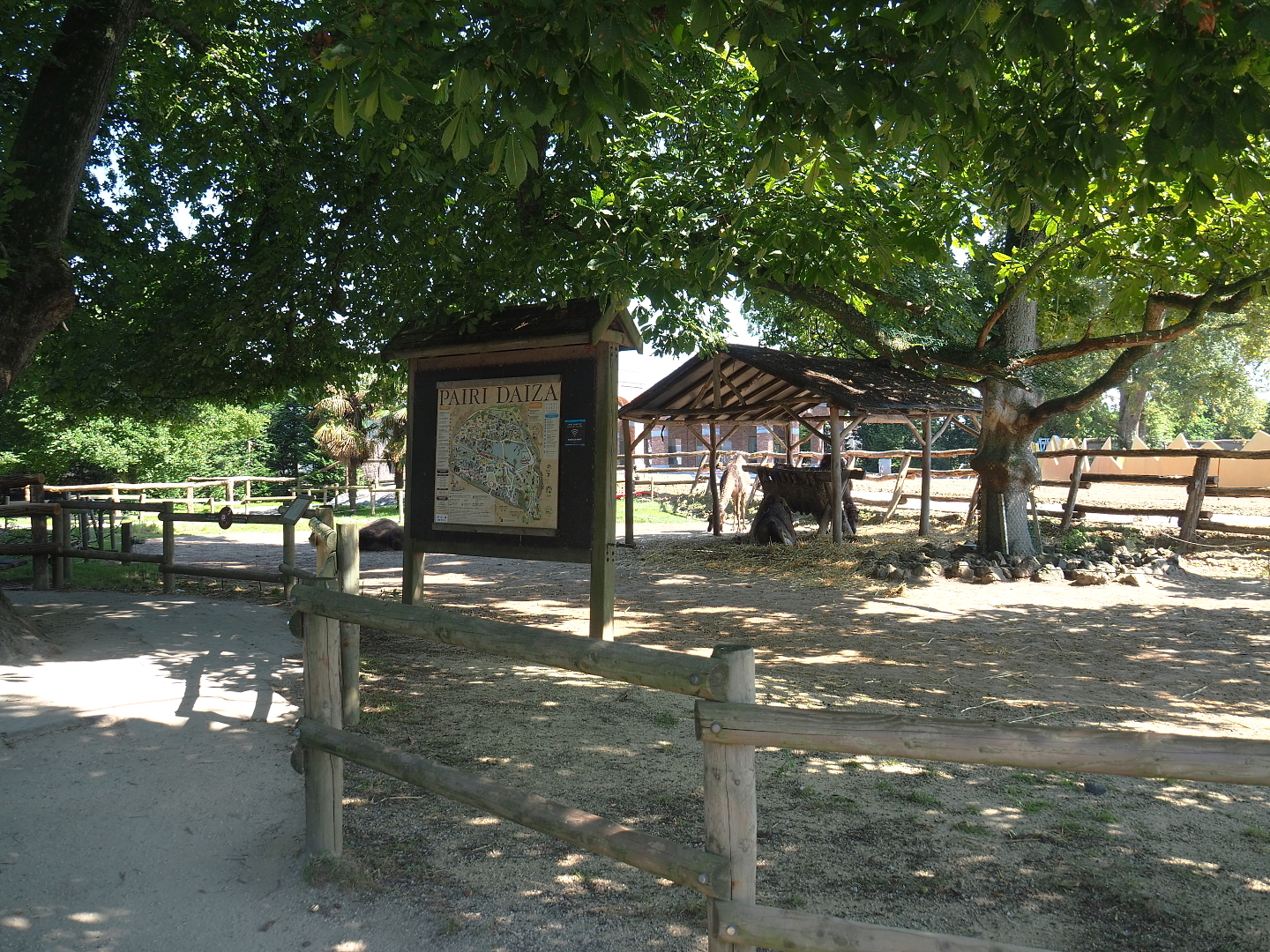 Dromedary camel paddock, 2021-09-03