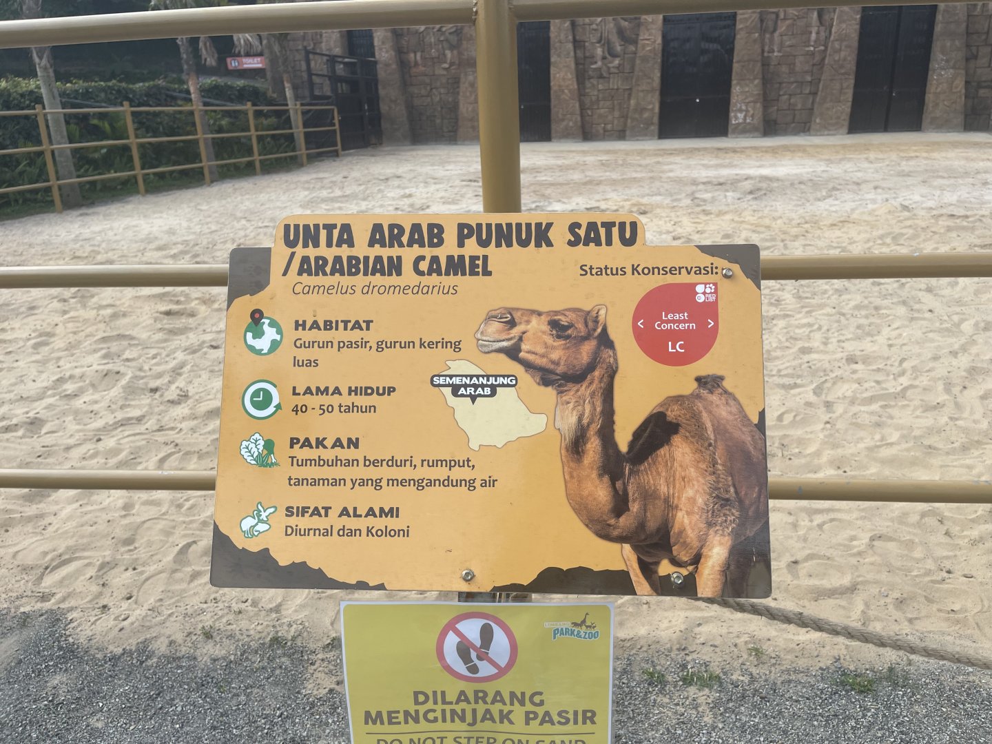 dromedary camel signage (1)
