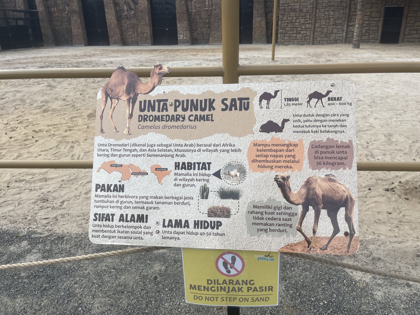 dromedary camel signage (2)