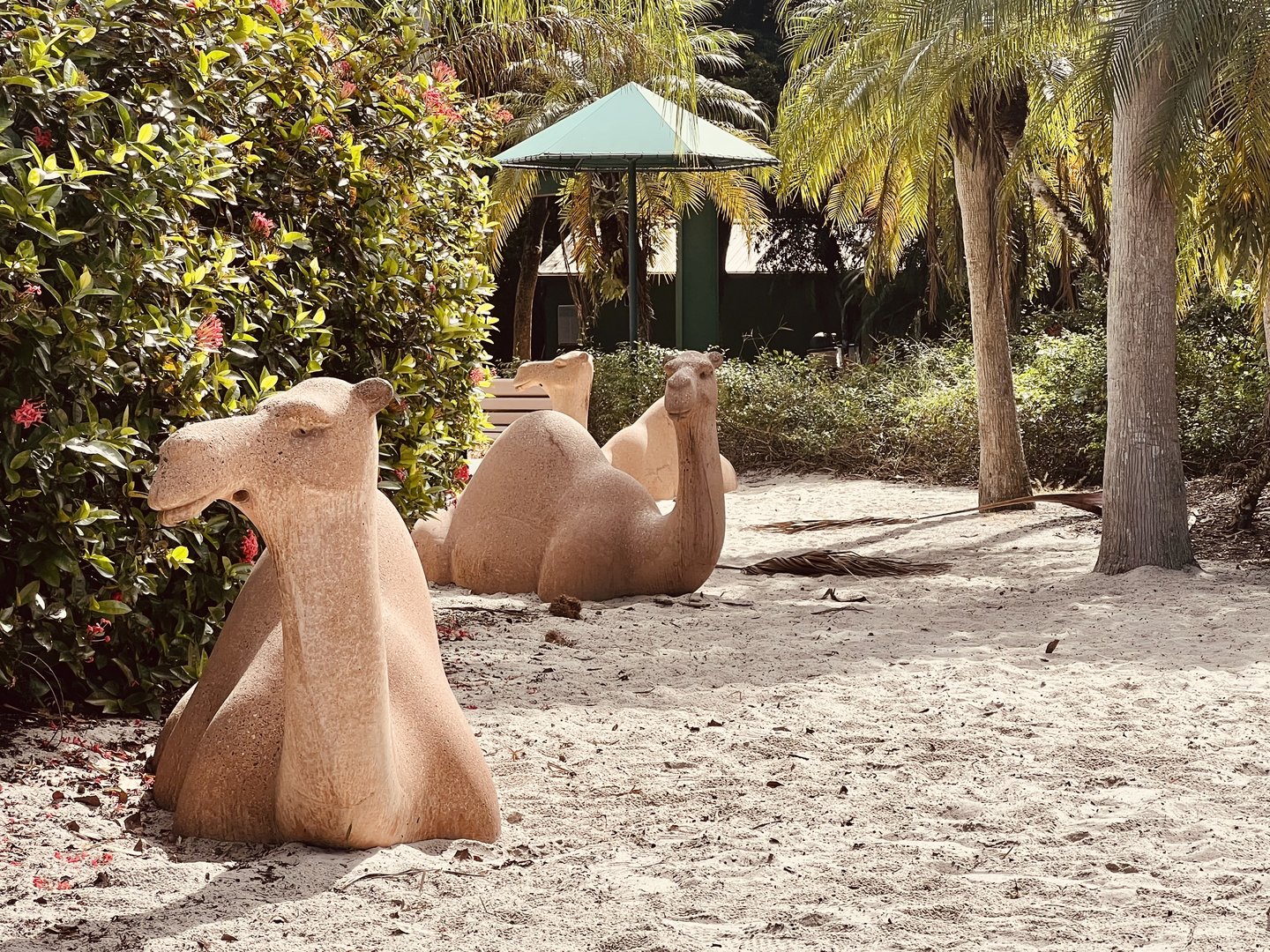 Dromedary Camel Statues