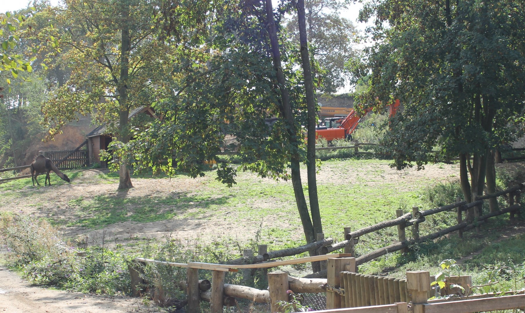 Dromedary enclosure and construction-site