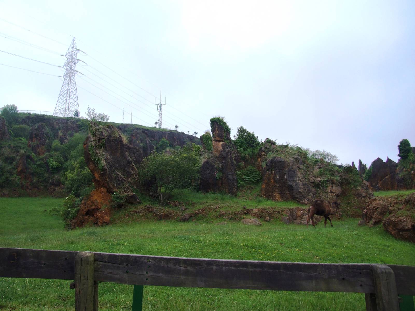 Dromedary Enclosure at Cabarceno, 11/06/15