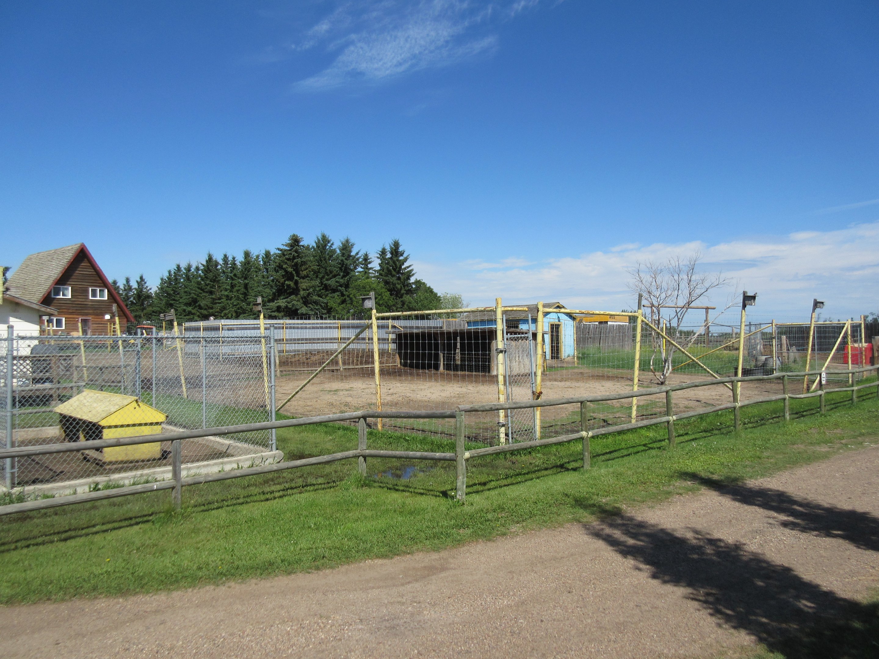 Dromedary Exhibit (and wolf pup cage)