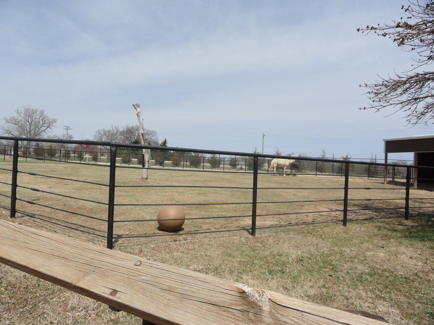 Dromedary Exhibit - East