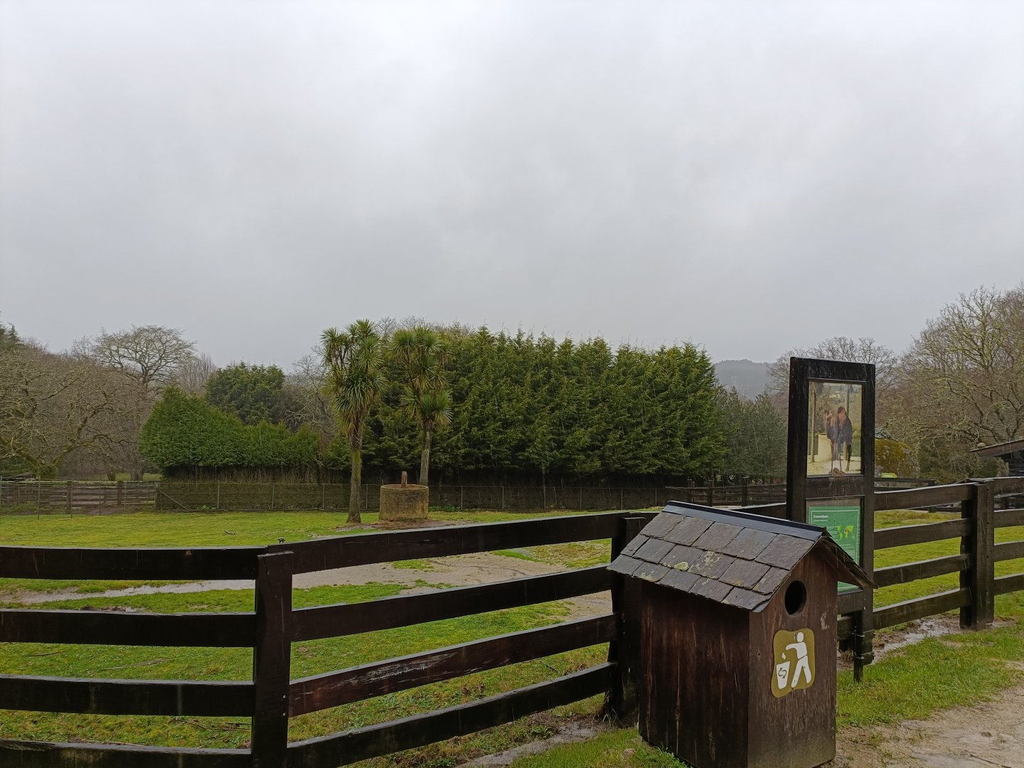 Dromedary exhibit -Marcelle Naturaleza