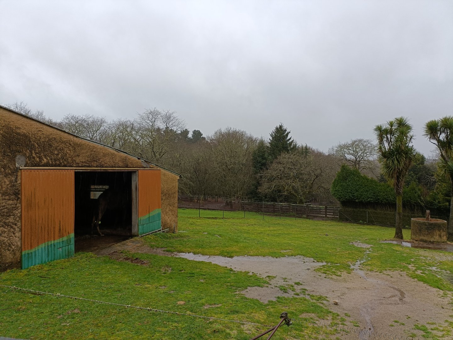 Dromedary exhibit -Marcelle Naturaleza
