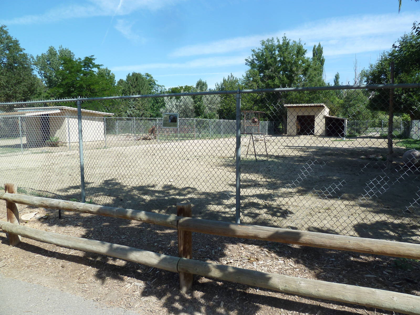 Dromedary Exhibit