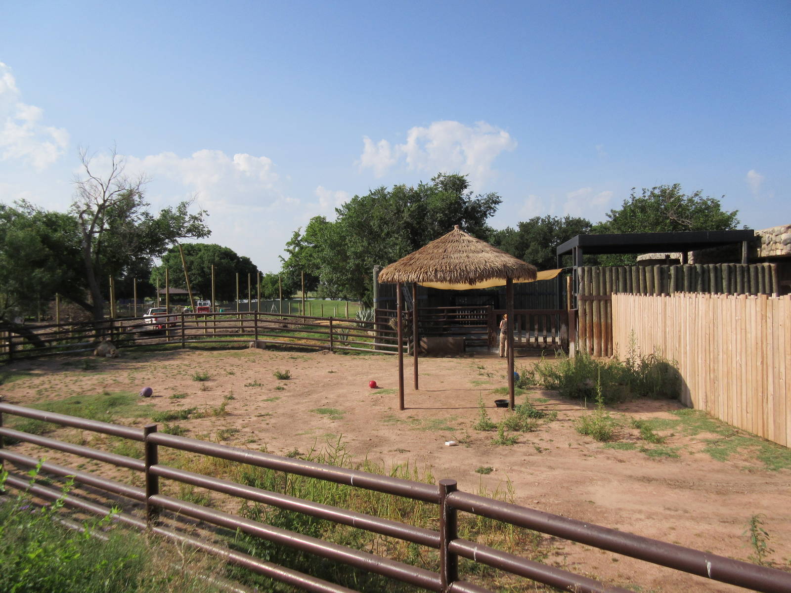 Dromedary Exhibit