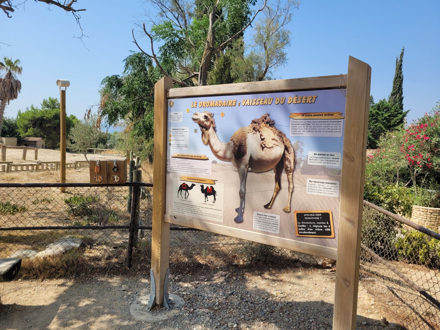 Dromedary sign -Réserve Africaine de Sigean (2022)