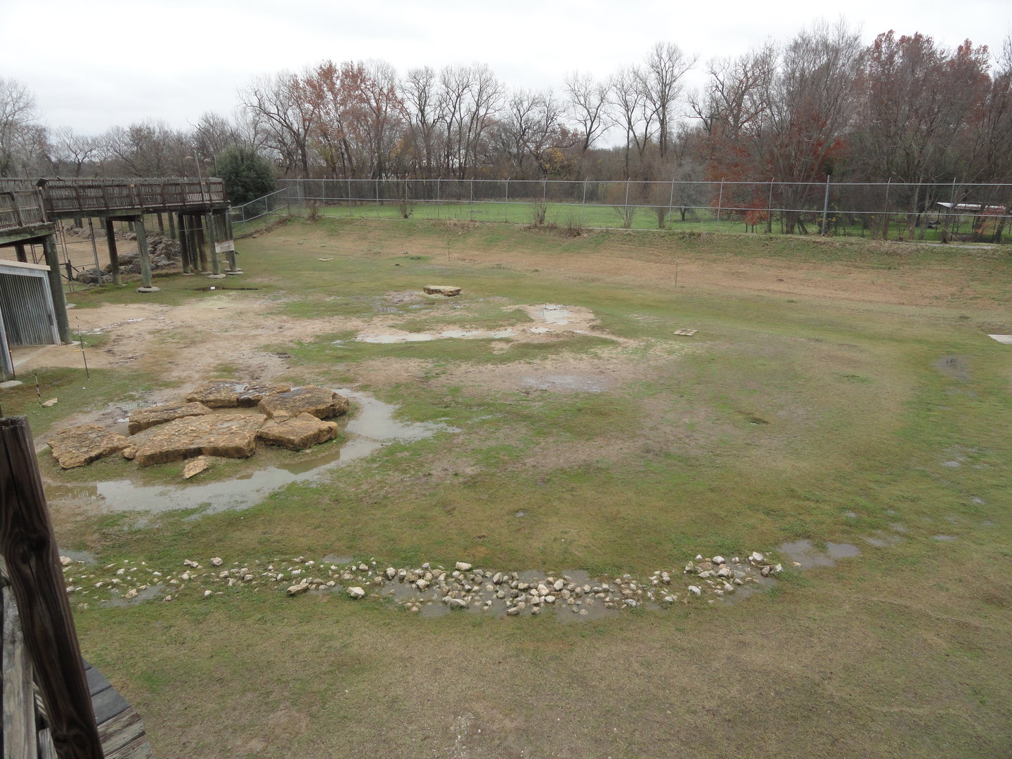Dromedary & Spotted Donkey Exhibit