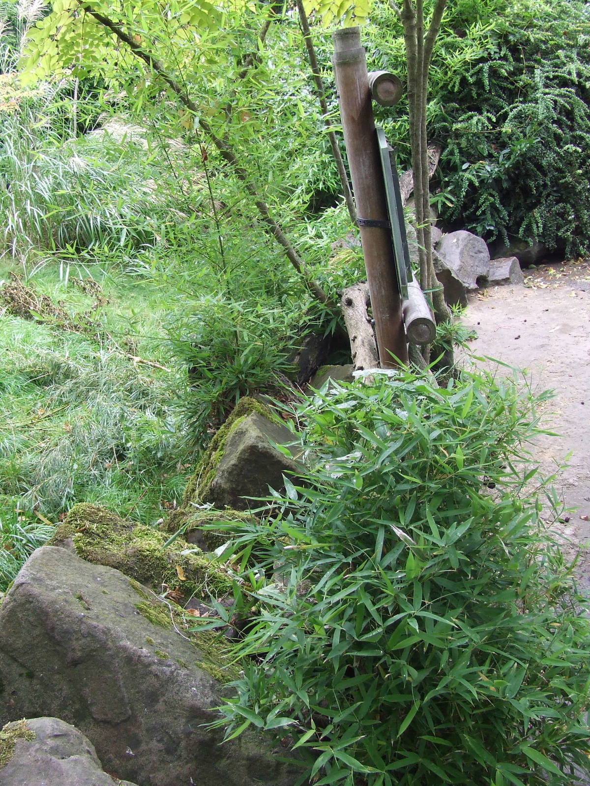 Dry ditch of the Tufted Deer enclosure