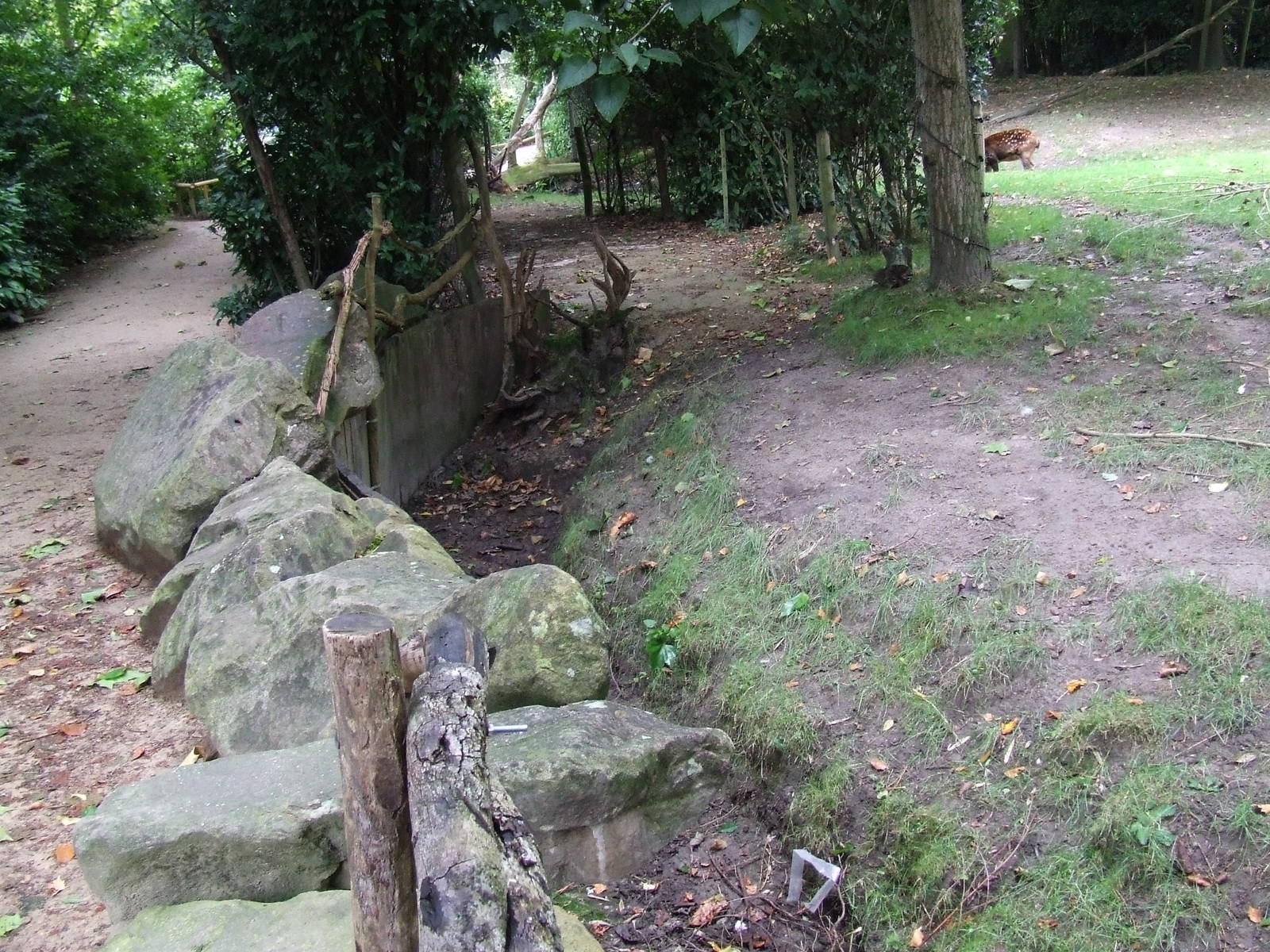 Dry-moat of the Philippine Spotted Deer exhibit