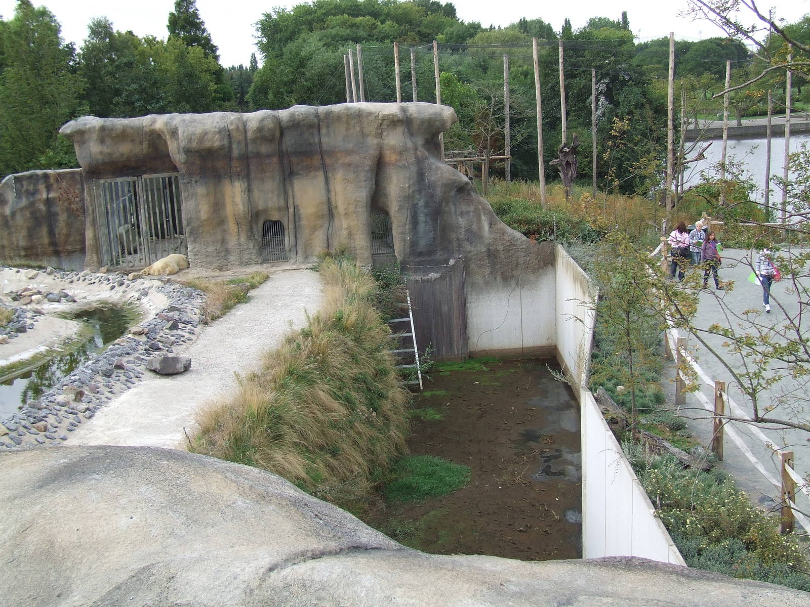 Dry-moat of the Polar Bear enclosure, Arctica