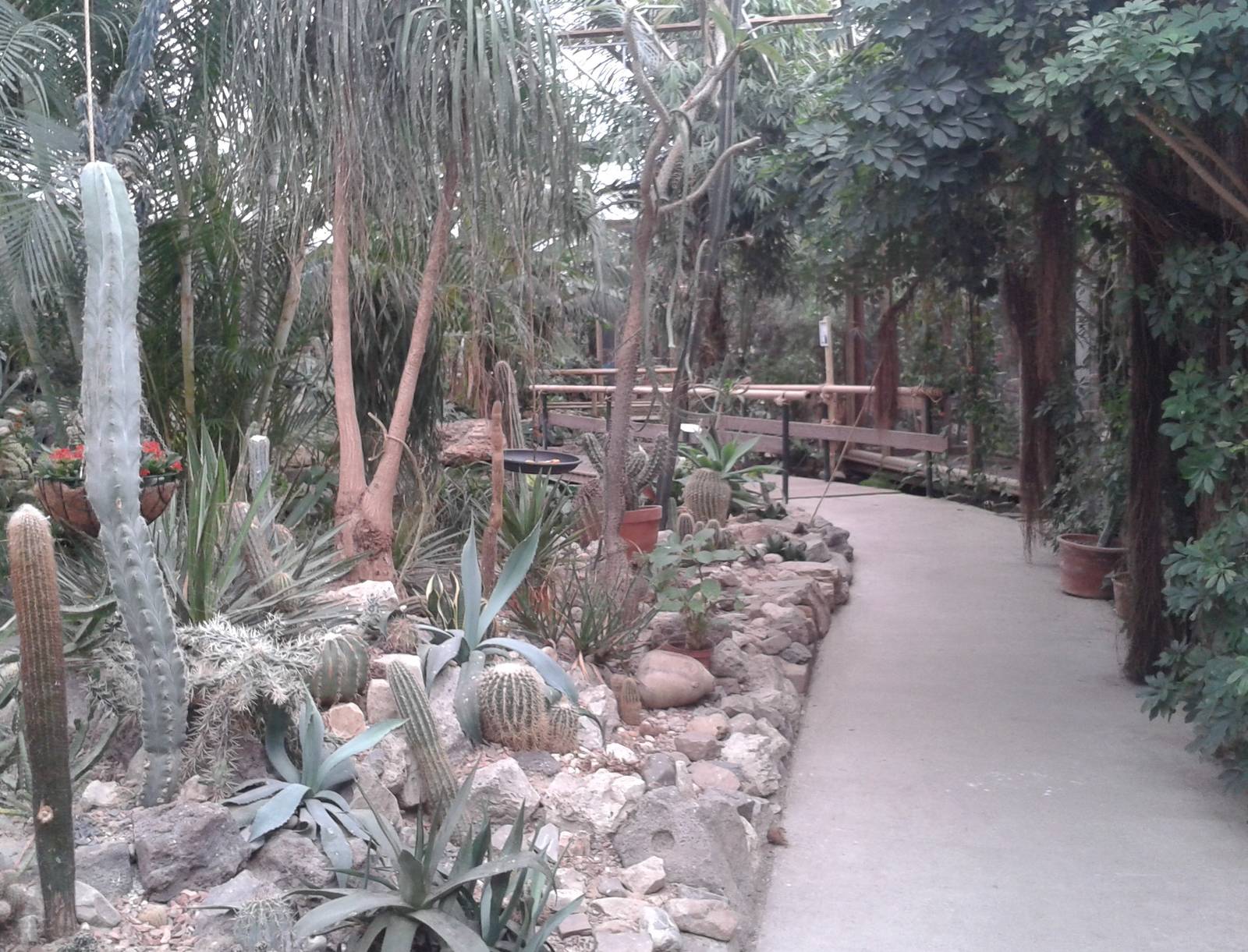 dry part of the butterfly-hall