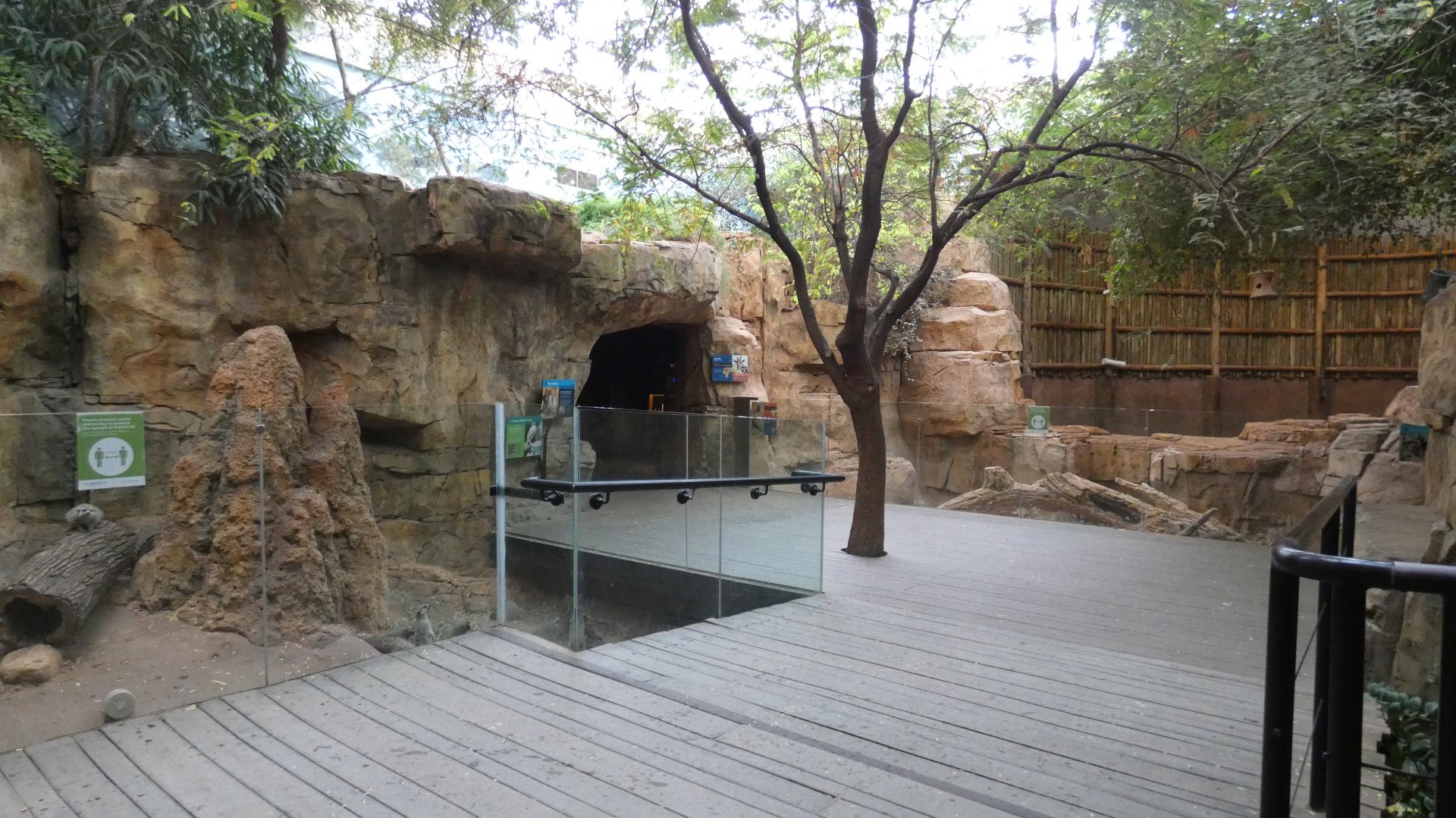 Dry Thorn Forest, African Journey - July 2021