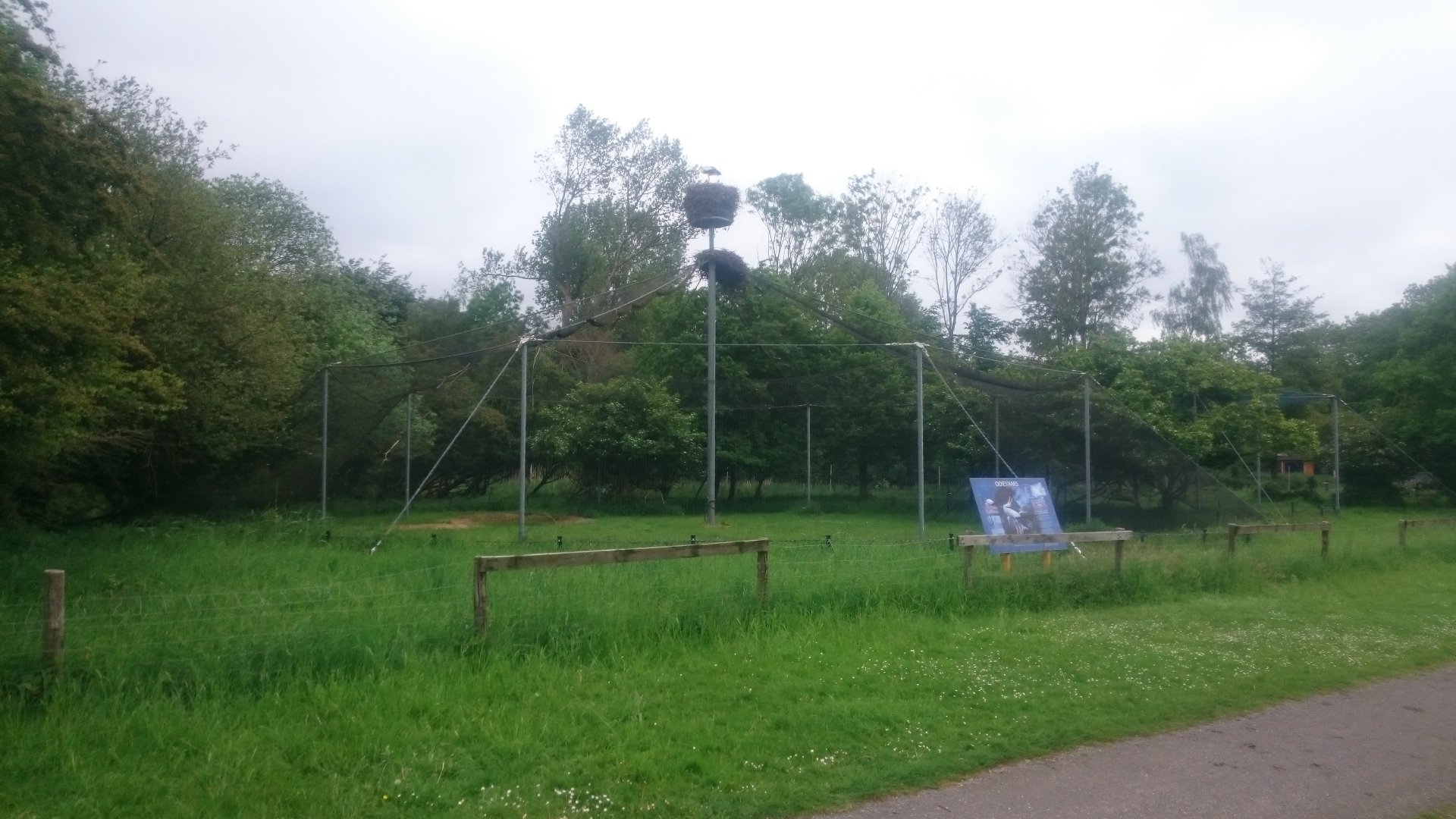 DSC_0512 Stork-nest on holding-cage