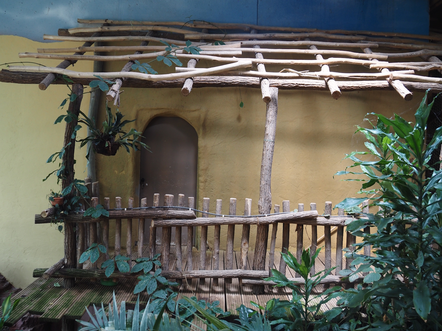 Dschungel Abenteuer - Door to off-show area, 2024-08-05